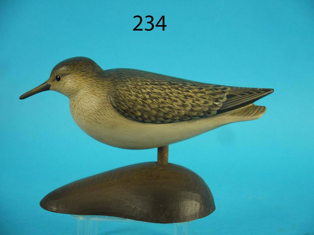 SANDERLING, G. STRUNK (1 of 3)