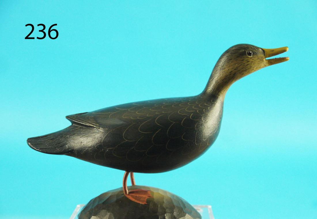 MINIATURE BLACK DUCK, G. STRUNK (1 of 2)