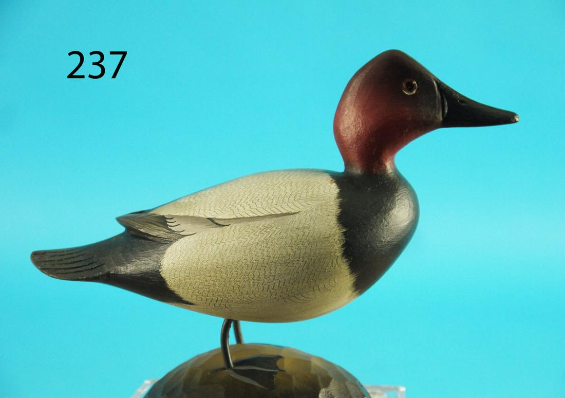 MINIATURE CANVASBACK, G. STRUNK (1 of 2)