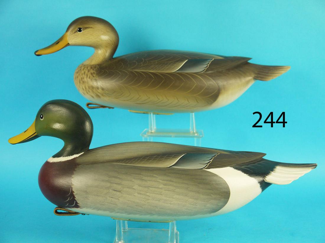 MALLARD PAIR, G. STRUNK (1 of 3)