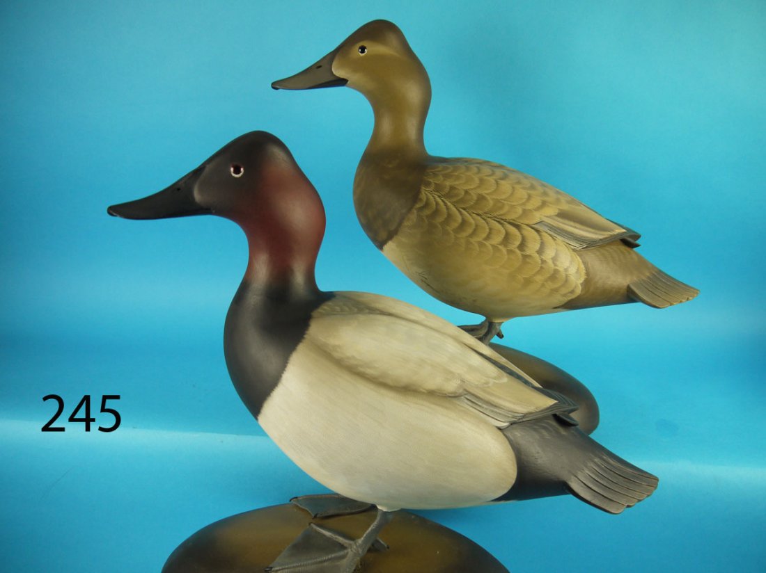 STANDING CANVASBACK PAIR, G. STRUNK (1 of 8)