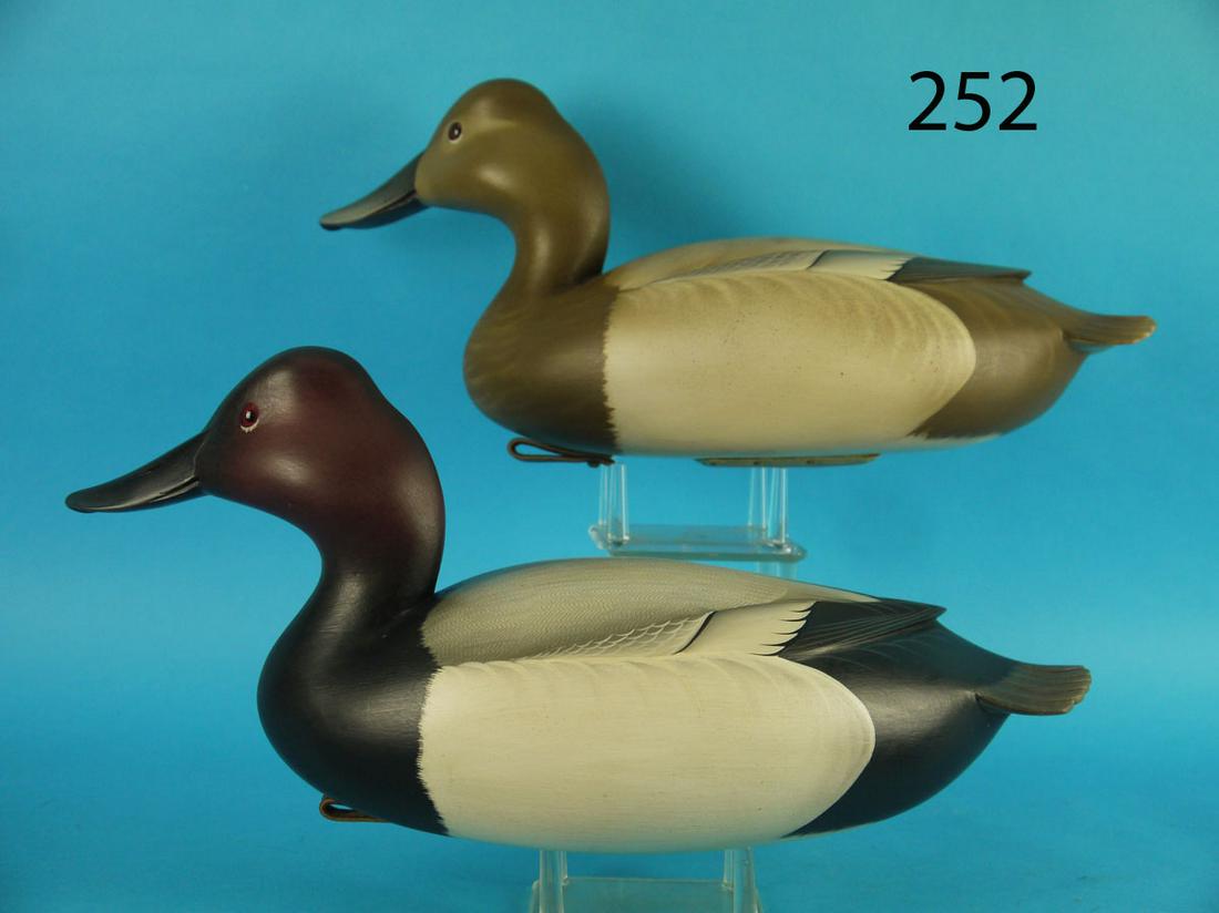 CANVASBACK PAIR, G. STRUNK (1 of 4)