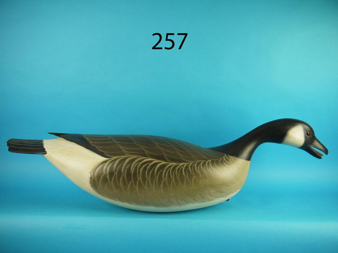 CANADA GOOSE, G. STRUNK (1 of 6)