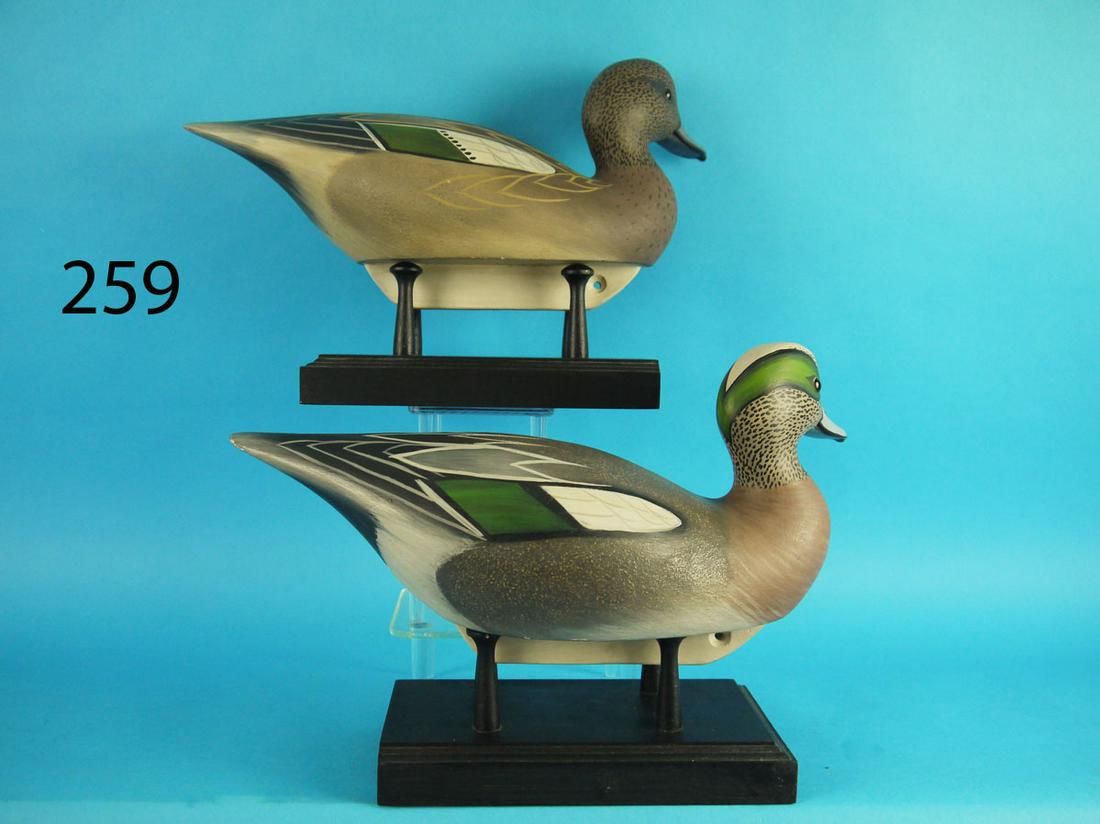 WIDGEON PAIR, E. WOZNY (1 of 4)