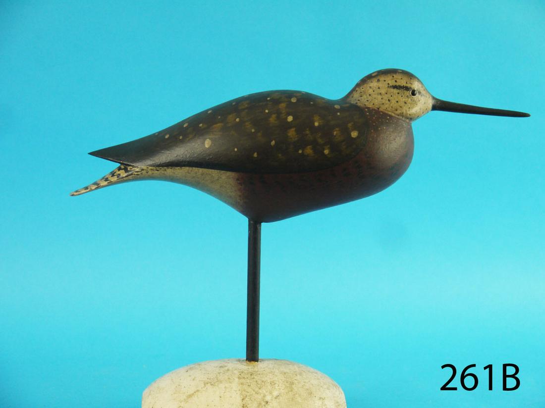 FINE DOWITCHER, B. WHITE (1 of 3)