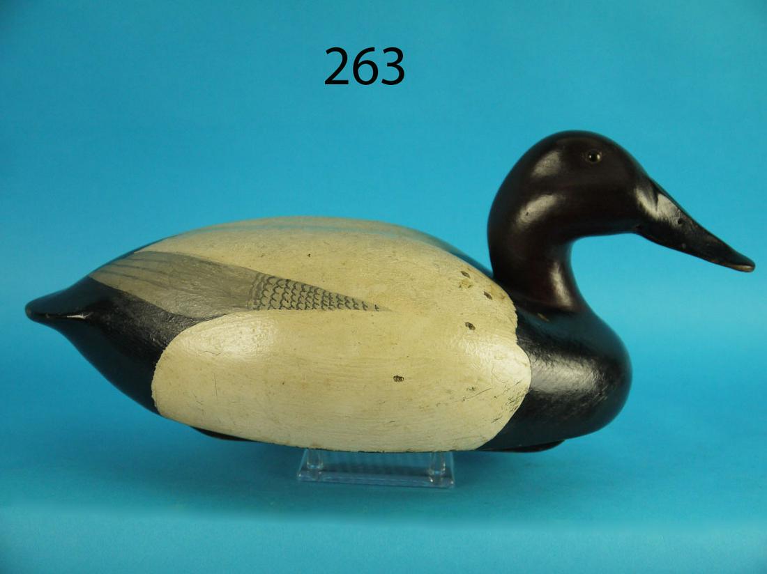 CANVASBACK DRAKE, B. WHITE (1 of 3)