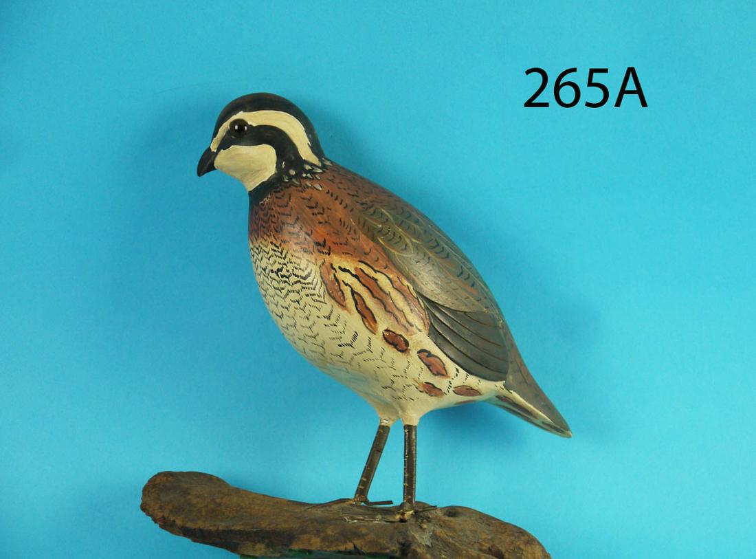 BOBWHITE QUAIL. L. JOHNSON (1 of 2)