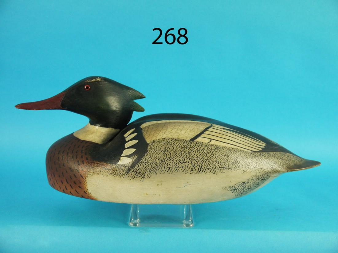 RED-BREAST MERGANSER DRAKE, W. CRANMER (1 of 3)