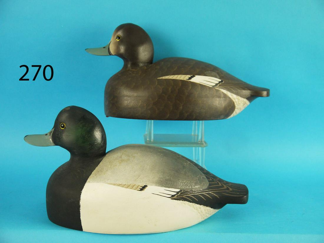 BROADBILL PAIR, W. CRANMER (1 of 3)