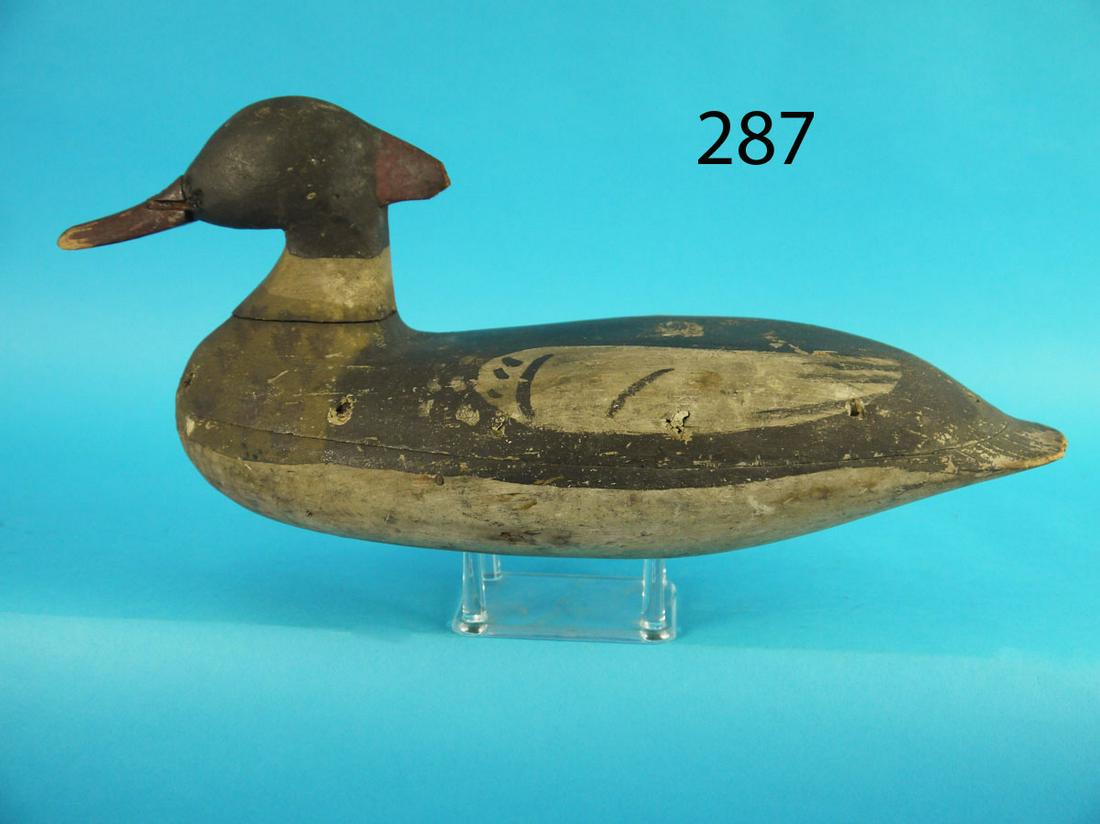 EARLY RED-BREAST MERGANSER DRAKE, BARNEGAT BAY (1 of 3)