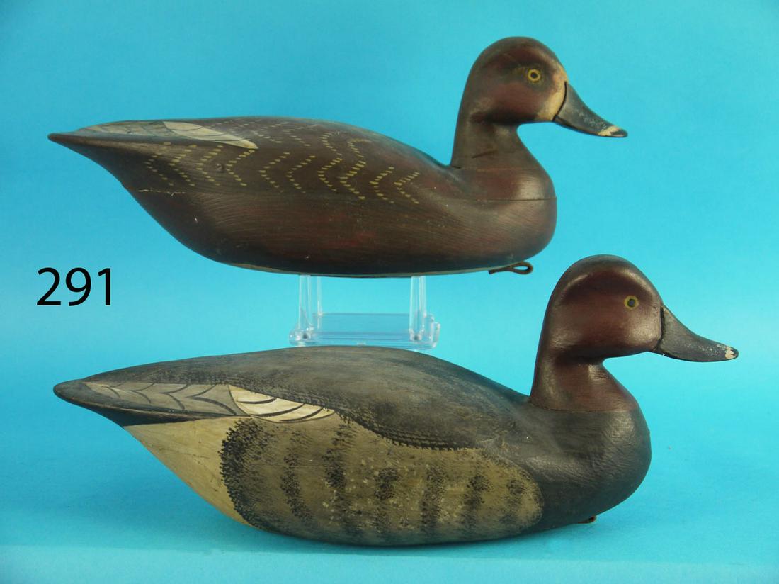 RED HEAD PAIR, NEW JERSEY (1 of 4)