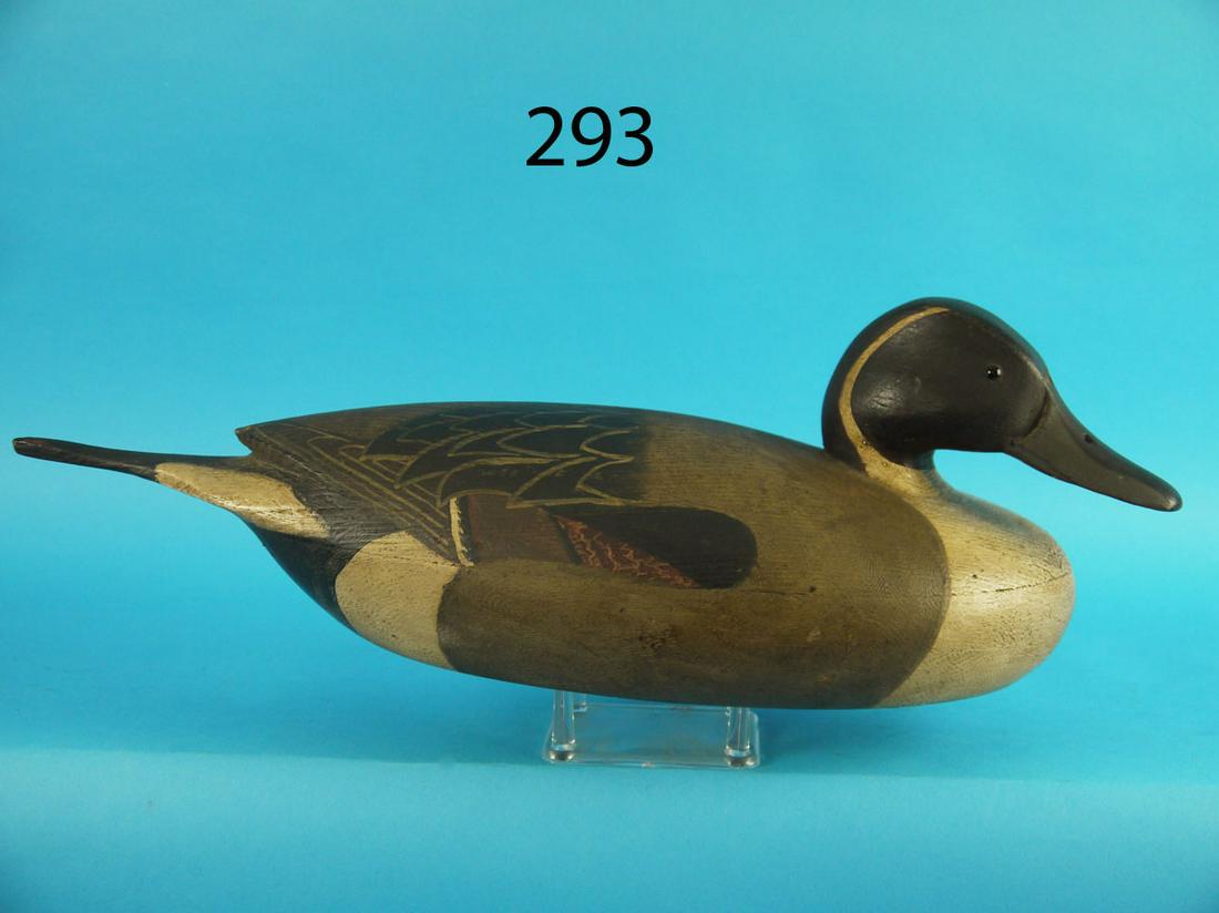 PINTAIL DRAKE, J. MCLOUGHLIN (1 of 3)