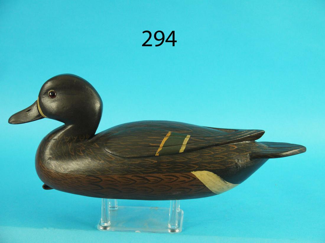 BLUE WING TEAL DRAKE, R. MARTER (1 of 3)