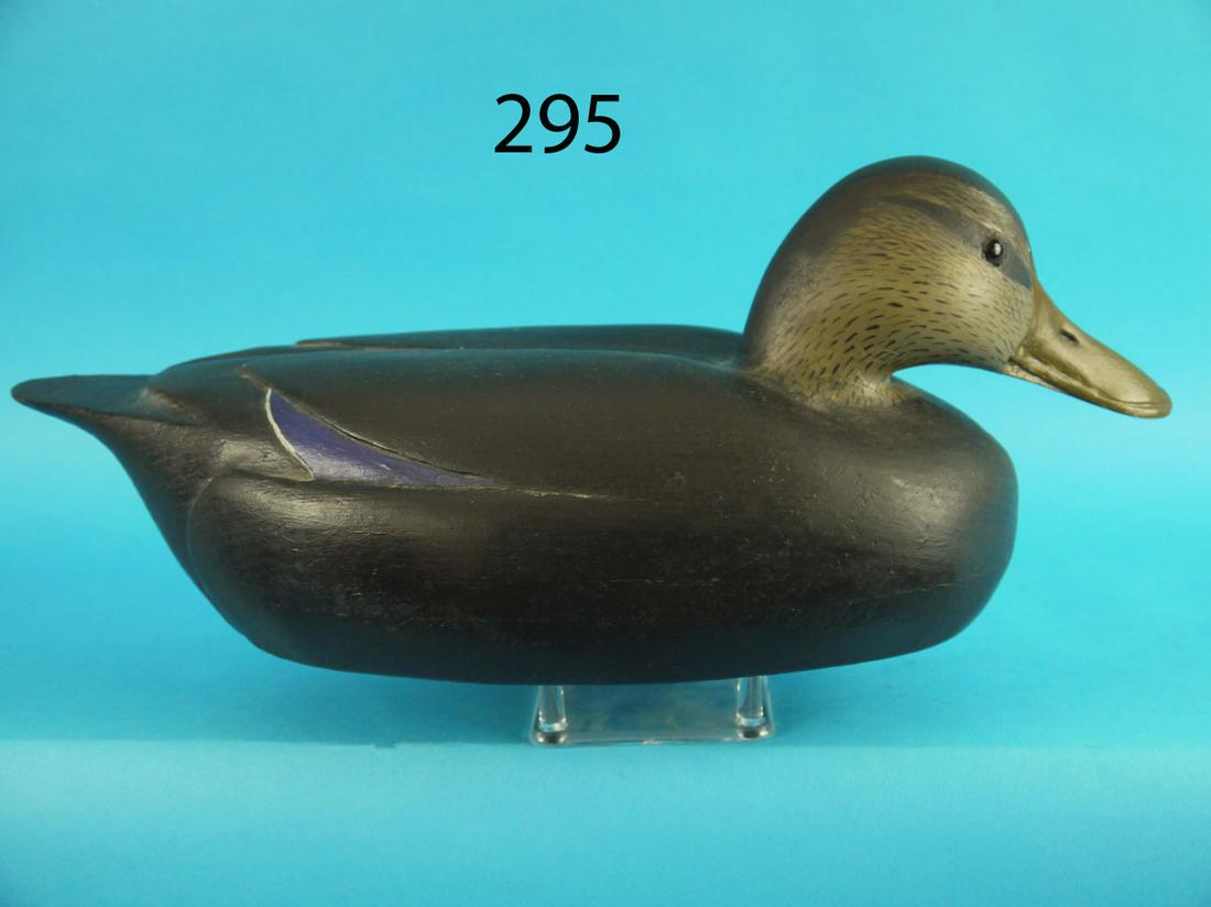 BLACK DUCK, R. LIBENSPERGER (1 of 4)