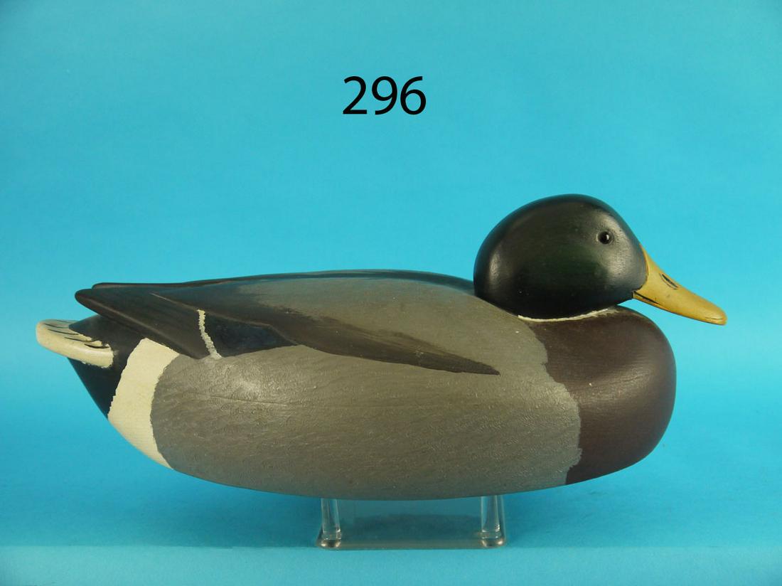 MALLARD DRAKE, T. LIBENSPERGER (1 of 4)