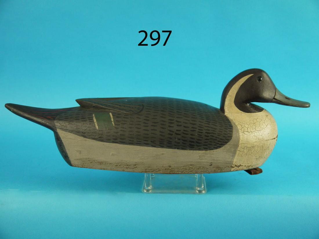 PINTAIL DRAKE, T. FITZPATRICK (1 of 4)