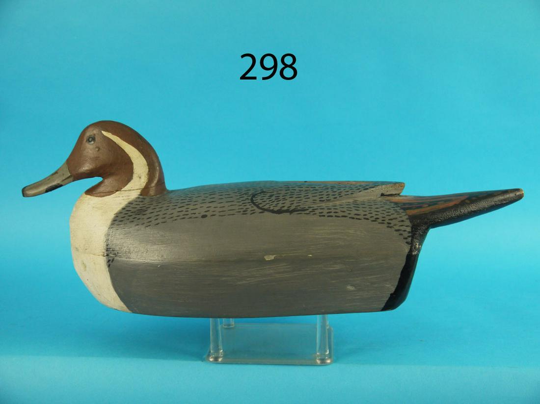 PINTAIL DRAKE, T. FITZPATRICK (1 of 3)