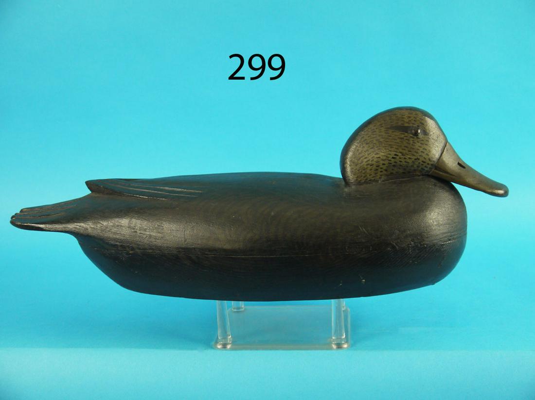 BLACK DUCK, T. FITZPATRICK (1 of 4)