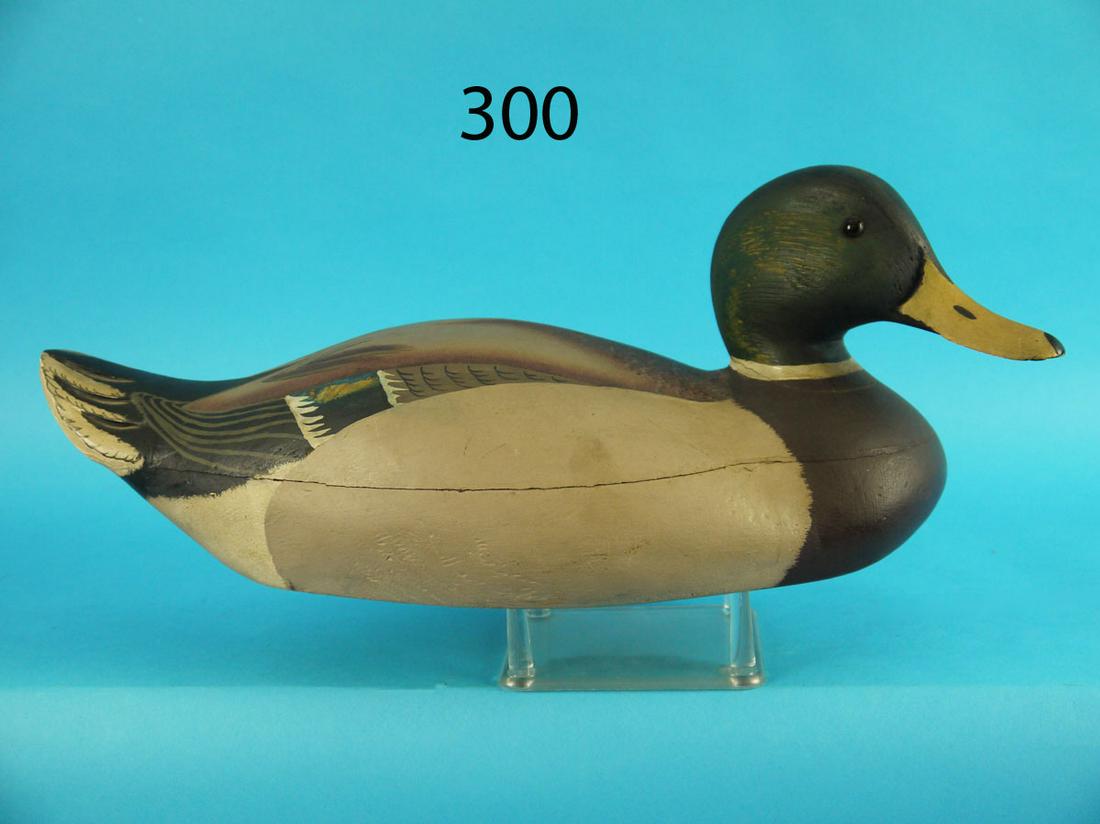 MALLARD DRAKE, J.W. WEST (1 of 3)