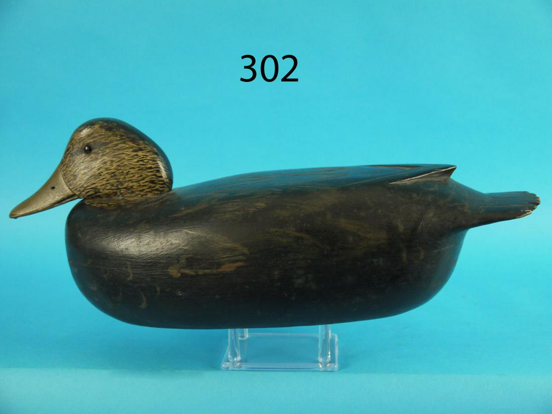 BLACK DUCK, L. MCLAUGHLIN (1 of 3)
