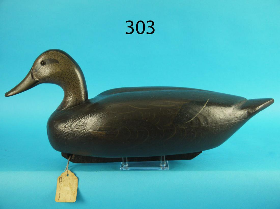 BLACK DUCK, J. MCLOUGHLIN (1 of 3)