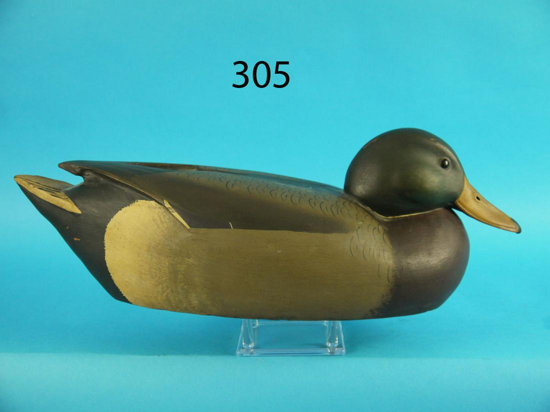 MALLARD DRAKE, C. KOVACS (1 of 4)