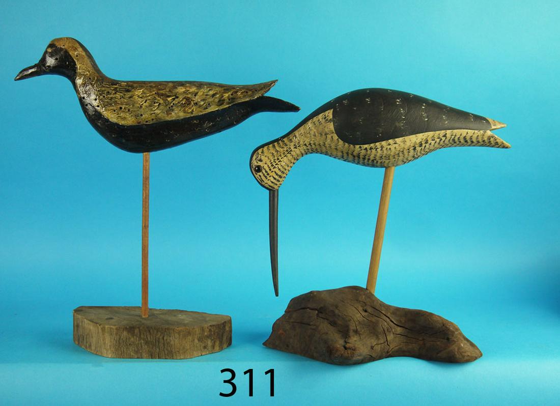 BLACK-BREAST PLOVER/FEEDING SHOREBIRD (1 of 1)