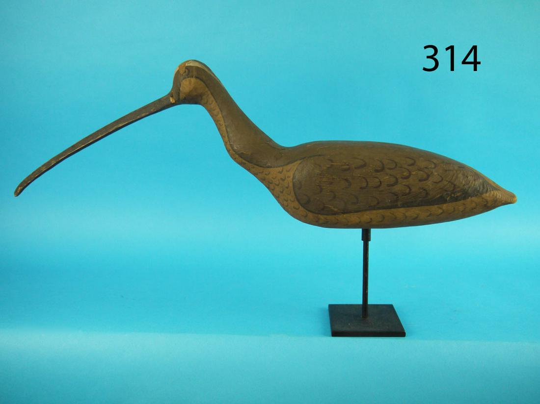 LONG-BILLED CURLEW, NEW JERSEY (1 of 2)