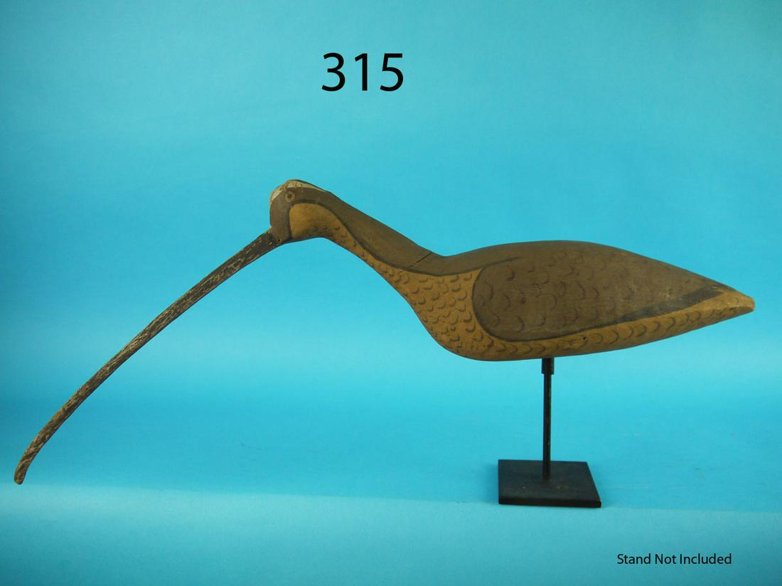 LONG-BILLED CURLEW, NEW JERSEY (1 of 1)