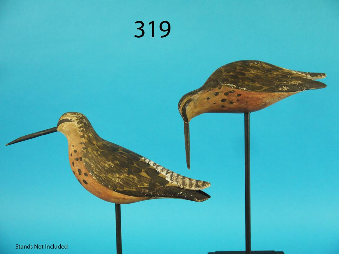 TWO DOWITCHERS, D. RHODES (1 of 2)