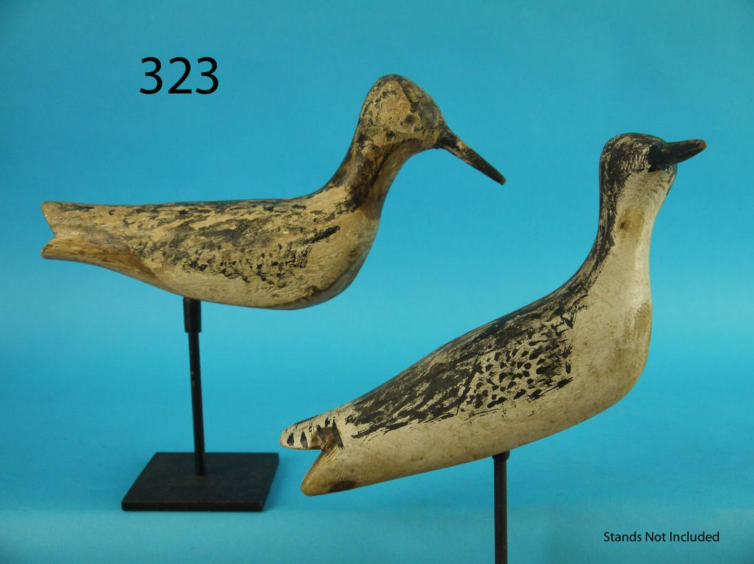 TWO SHOREBIRDS, PLUM ISLAND (1 of 1)