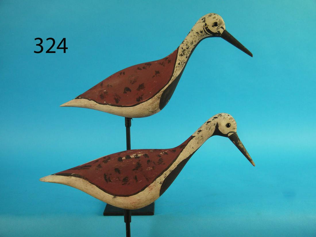 TWO RUDDY TURNSTONES, NEW JERSEY (1 of 2)