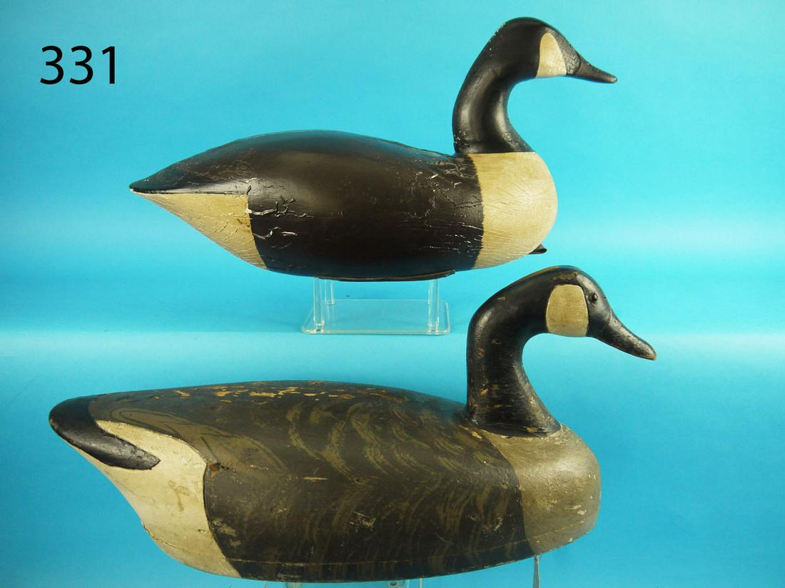 TWO CANADA GEESE, C/A BIRDSALL (1 of 4)