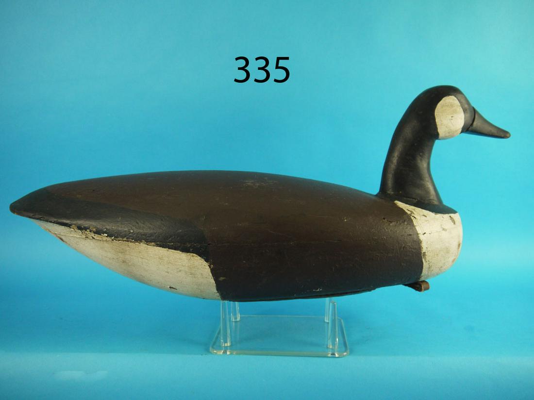 CANADA GOOSE, BARNEGAT BAY (1 of 4)