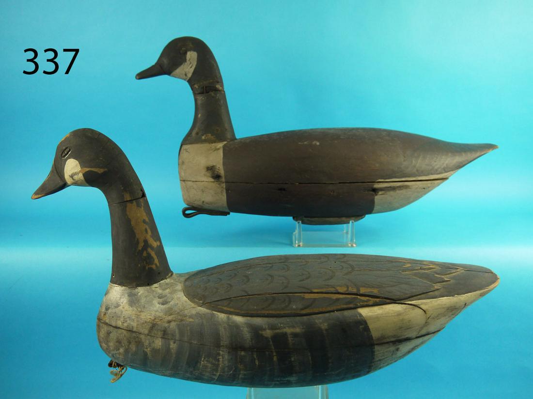 TWO CANADA GEESE, NEW JERSEY (1 of 3)