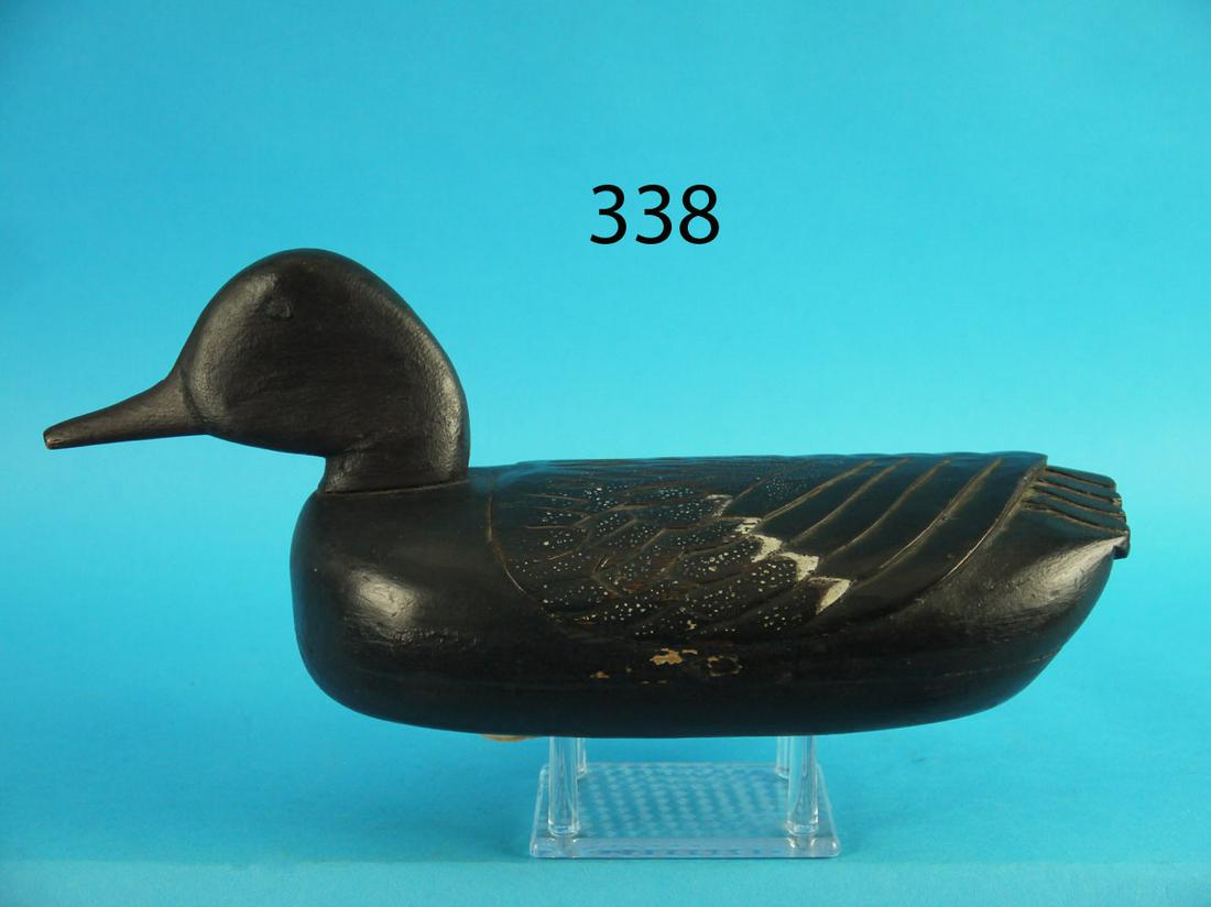 HOODED MERGANSER, W. KEMBLE (1 of 3)