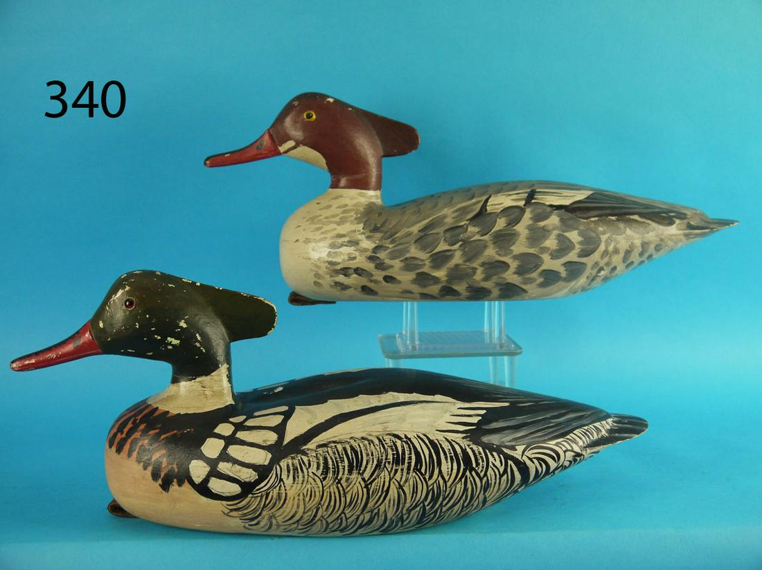 PAIR OF MERGANSERS, J. BARRETT (1 of 3)