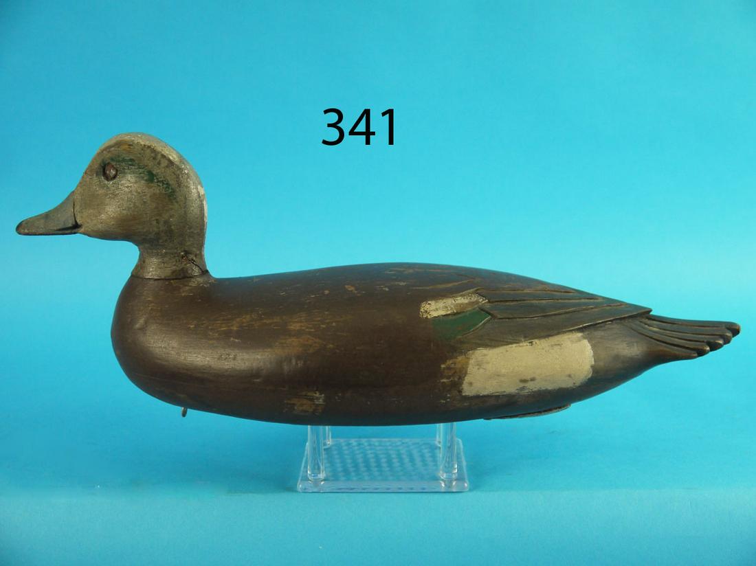 WIDGEON DRAKE, W. KEMBLE (1 of 3)