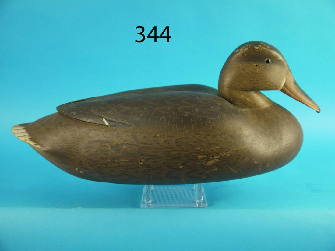 FINE MALLARD HEN, D. ANDERSON: FINE MALLARD HEN by Dave Anderson, Tullytown, PA. Very good original paint showing minor in-use wear. Very good structural condition. Pinch-breast model. Raised, crossed wing tips and fluted tail. Hol