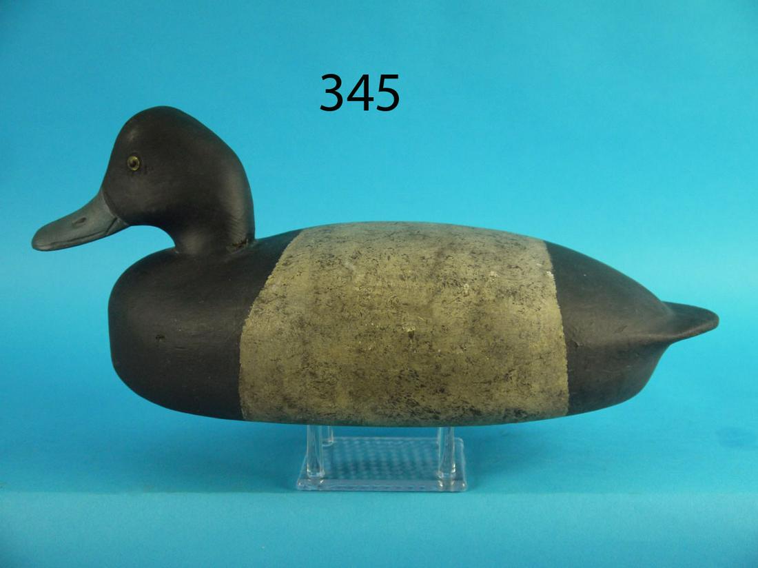 BLUEBILL DRAKE, C. BLACK (1 of 3)