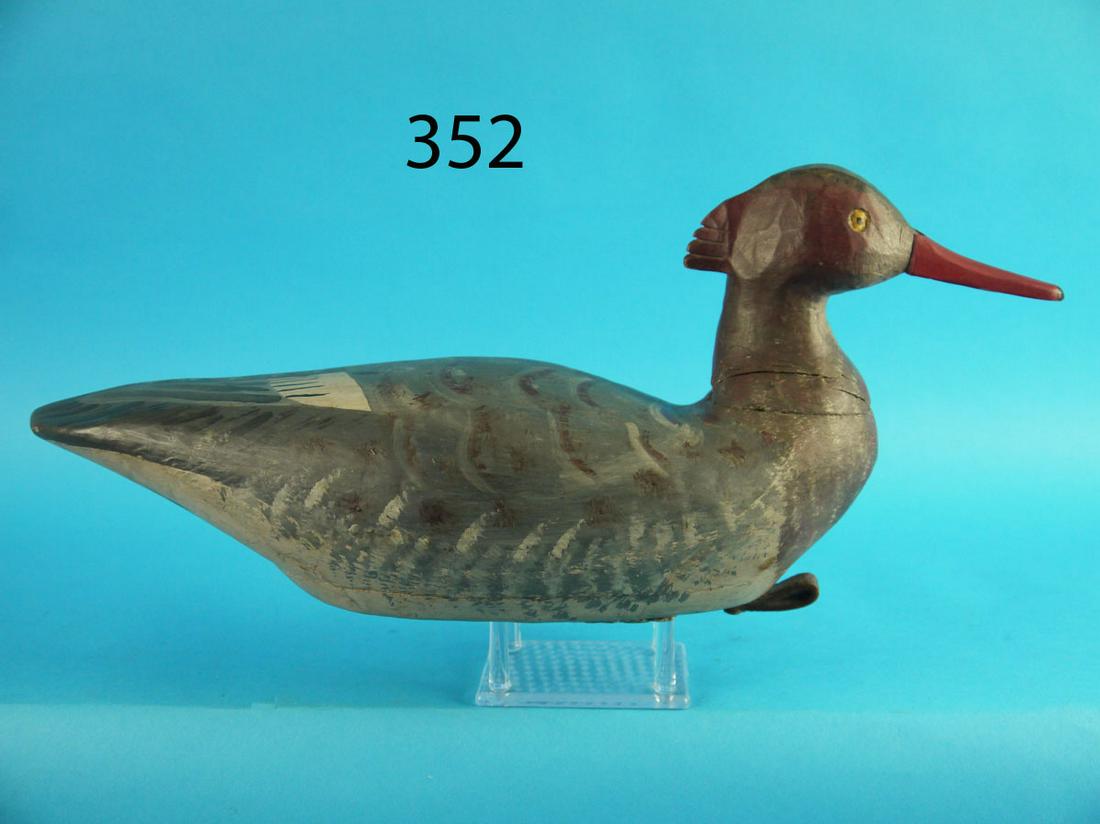 MERGANSER HEN, C. SPRAGUE RIG (1 of 4)