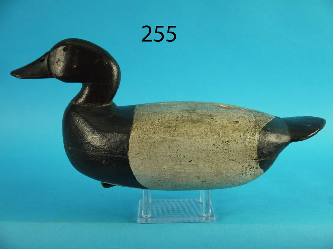 CANVASBACK DRAKE, H. FENNIMORE (1 of 3)