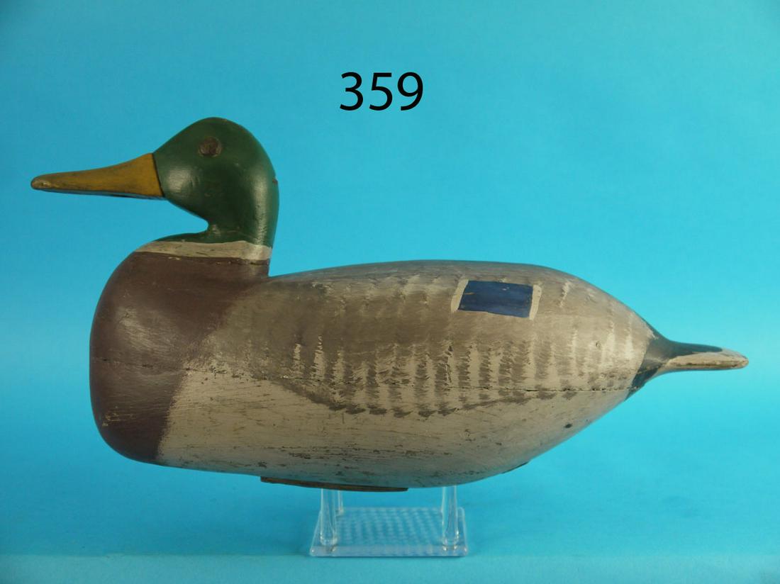 MALLARD DRAKE, J. UPDIKE (1 of 3)