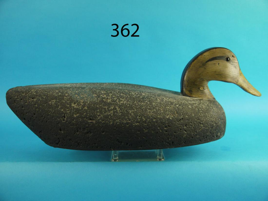 BLACK DUCK, OVERSIZED (1 of 4)