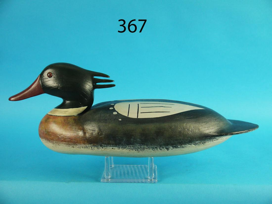 RED BREAST MERGANSER DRAKE, NEW JERSEY (1 of 3)