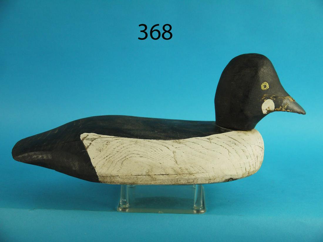 WING DUCK, GOLDENEYE (1 of 4)