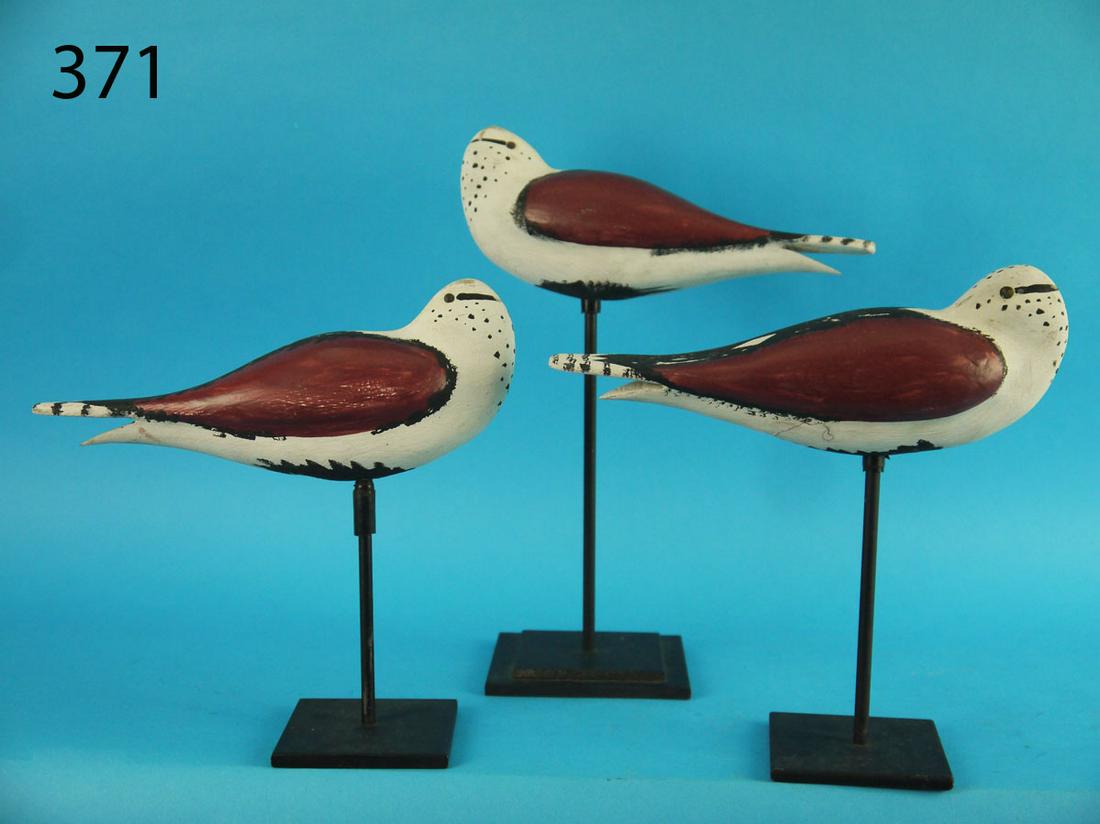 THREE RUDDY TURNSTONE, NEW JERSEY (1 of 2)