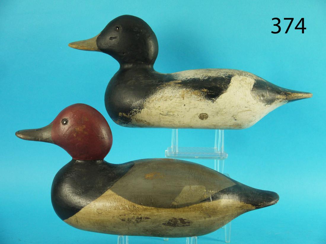 REDHEAD, BLUEBILL/ MASON (1 of 3)