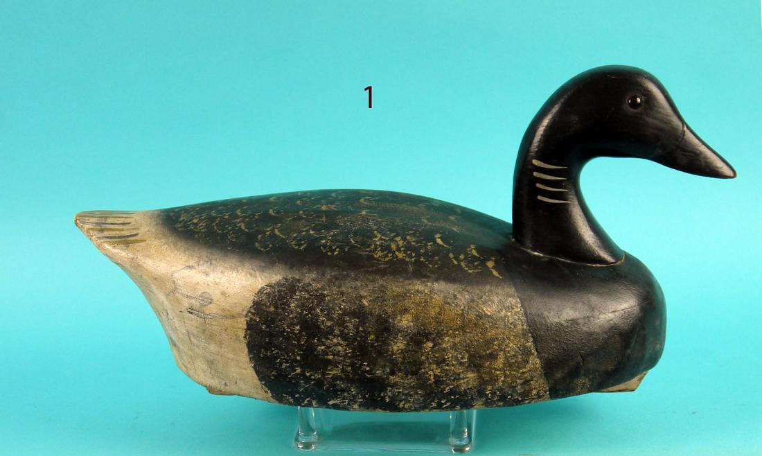 BRANT, WILDFOWLER (1 of 4)