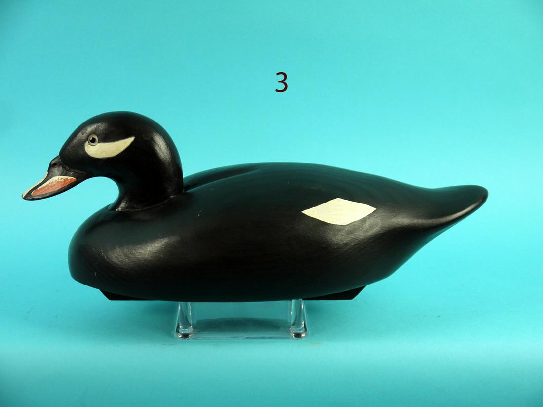 SURF SCOTER, WILDFOWLER DECOY CO. (1 of 4)